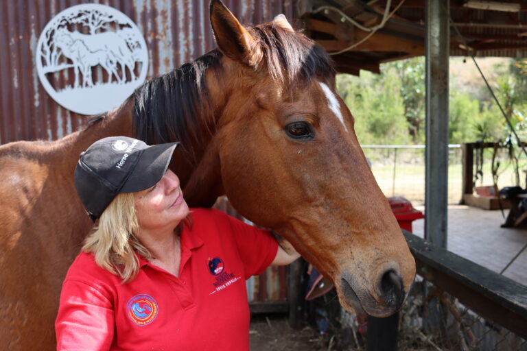 Horse Whispering Youth Program